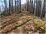 Zagrad - Tolsti vrh above Celjska koča